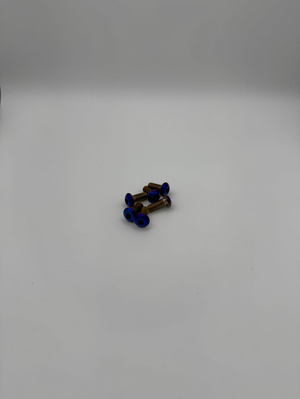 Titanium Fork guard bolts